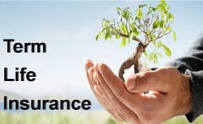 best term life insurance quotes
